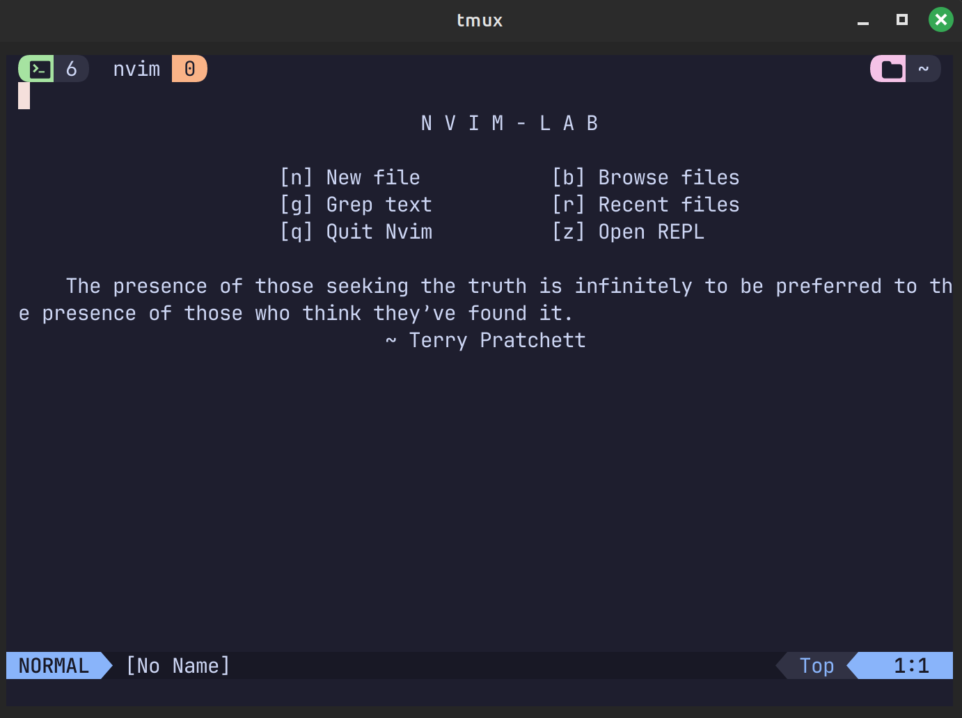 Neovim for scientists